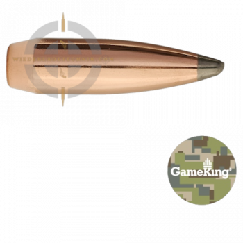 Sierra GameKing 2145 Geschoss